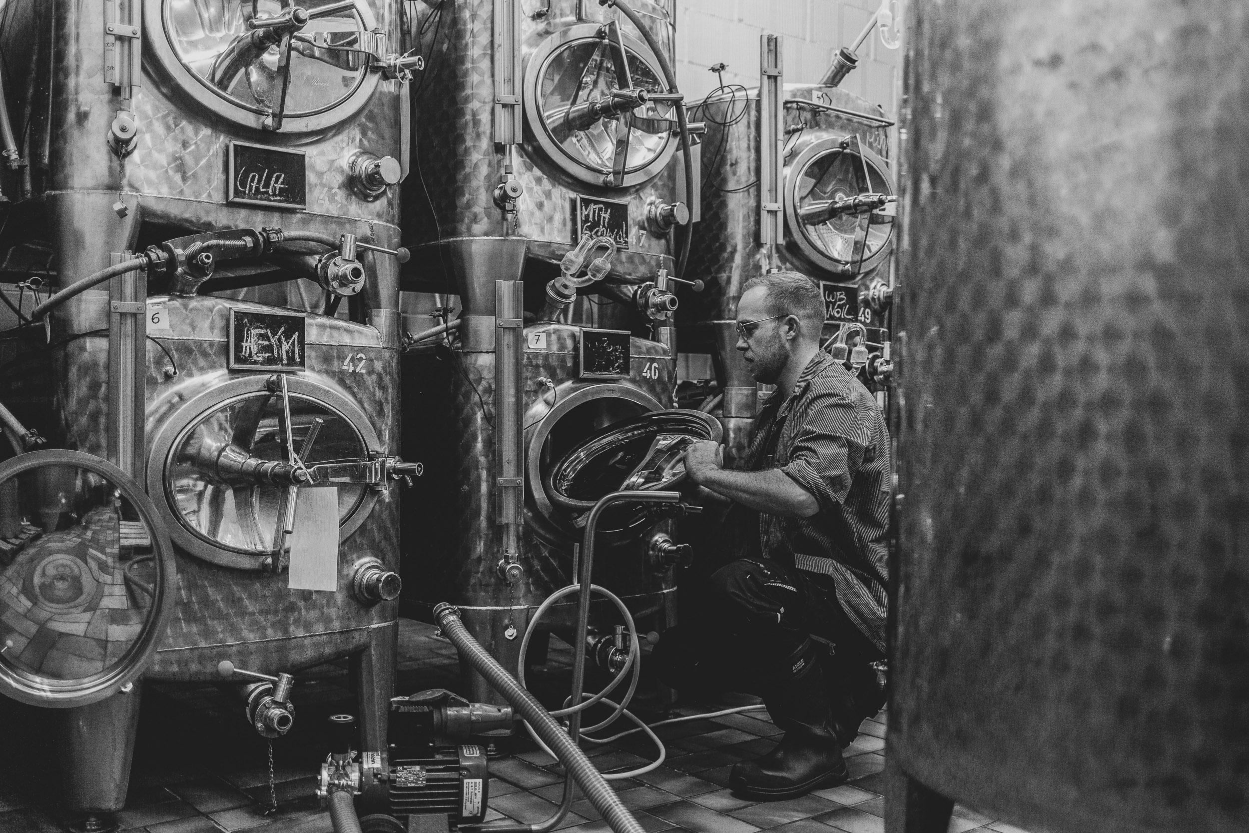 Businessportrait Weingut Nils Hohnheit